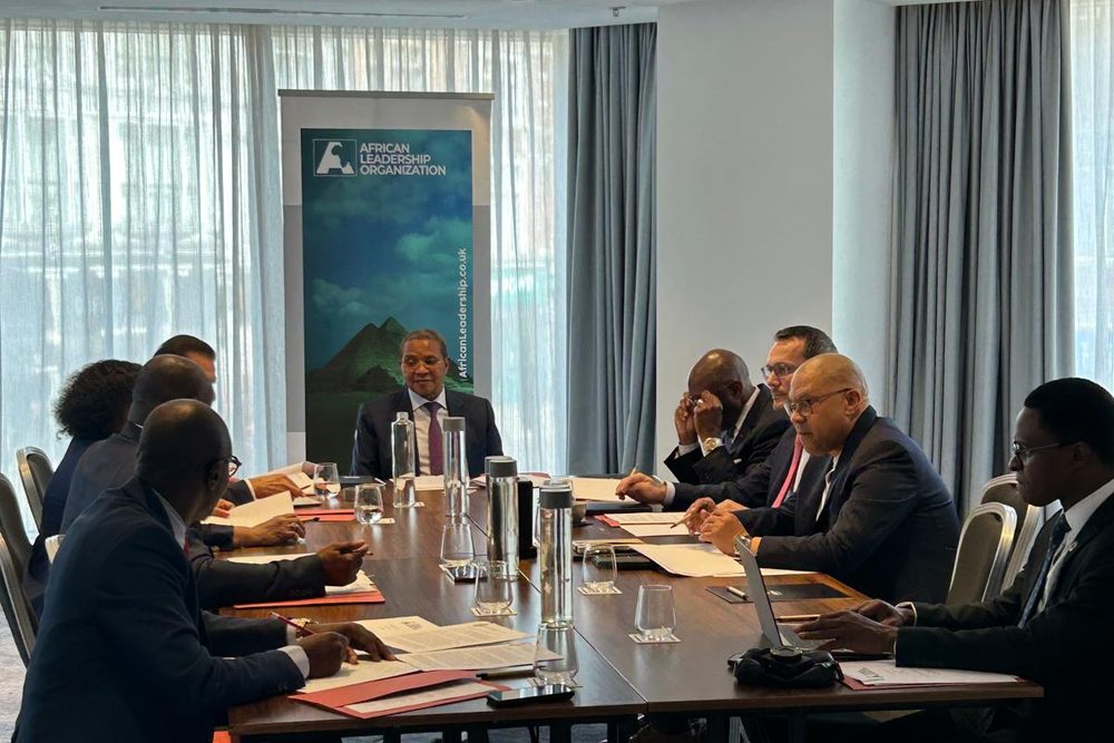 An African Leadership Organization board meeting in session